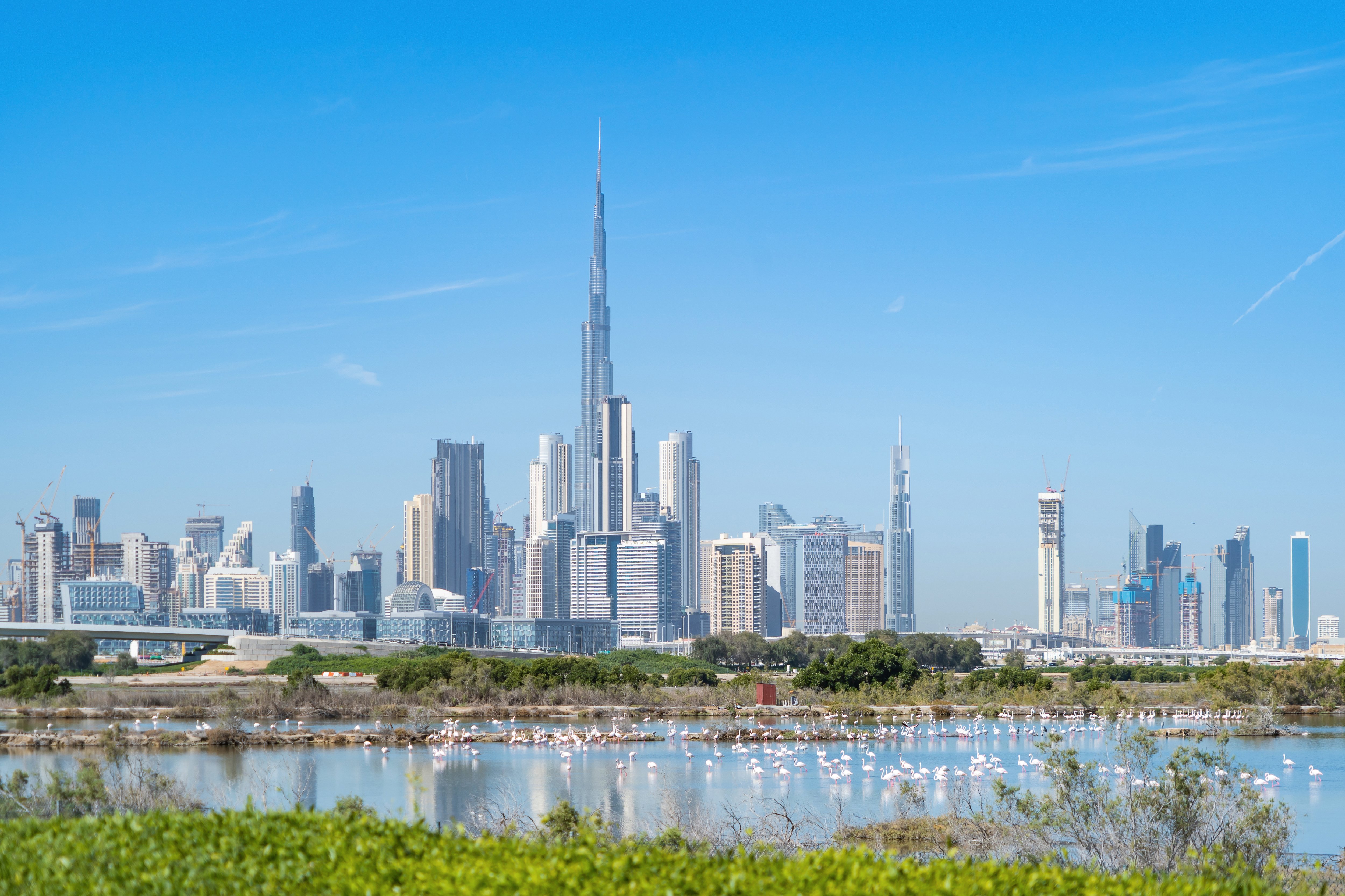 DUBAI ISSUES LAW ON EXPROPRIATION OF PROPERTY FOR PUBLIC USE